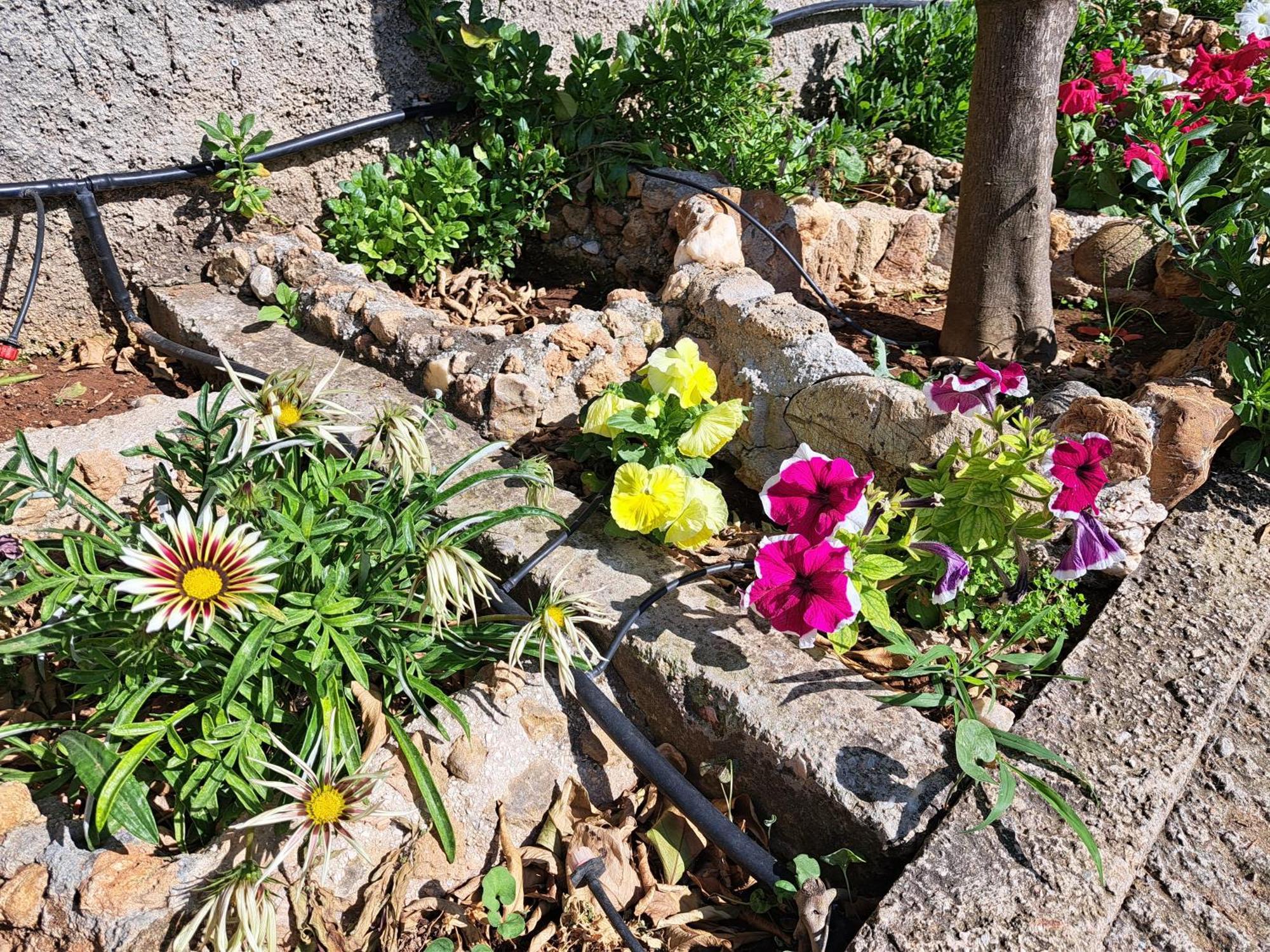 Garden House-Free Transfer From Airport Villa Ártemida Kültér fotó
